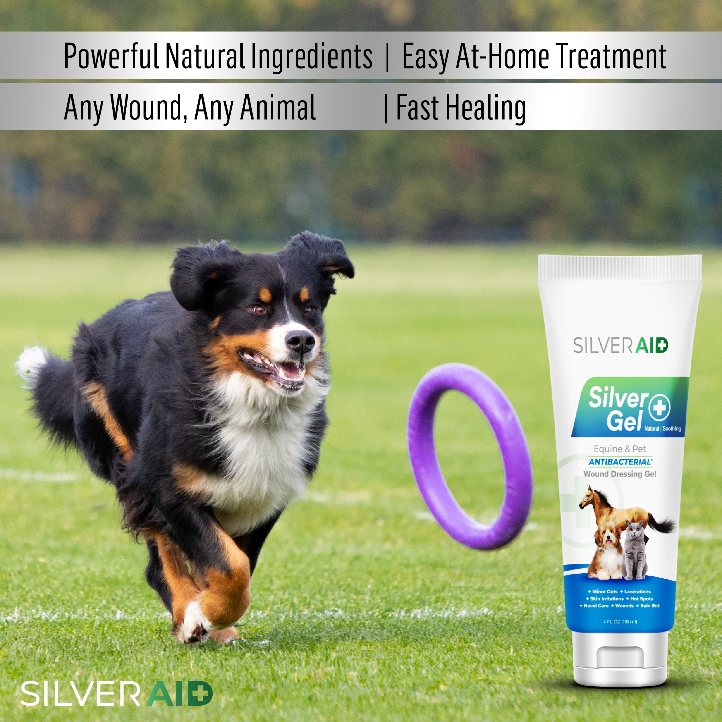 silver gel for dogs